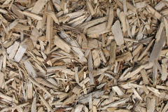 biomass boilers Llaingoch